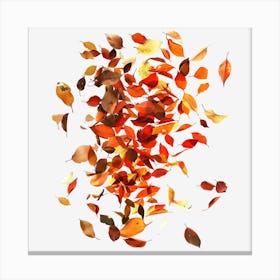 Autumn Leaves Falling On Black Background Canvas Print