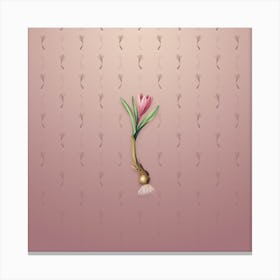 Vintage Spring Meadow Saffron Botanical on Dusty Pink Pattern n.1507 Canvas Print