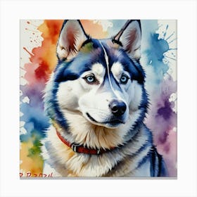 Siberian Husky Canvas Print