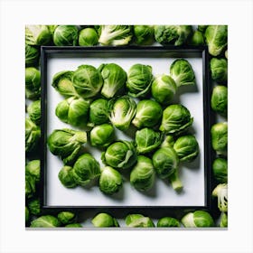 Brussels Sprouts In A Frame 4 Canvas Print