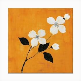 White Dogwood Canvas Print