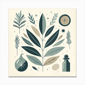 Scandinavian style, Bay leaf and rosemary 3 Canvas Print