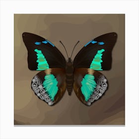 Mechanical Blue Butterfly The Doxocopa Cherubina On A Beige Background Canvas Print