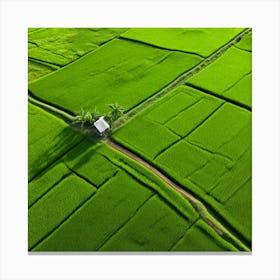 Grow Plant Green Background Field Aerial Landscape Pattern Agriculture Grass Harvesting C (3) Canvas Print