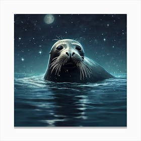 Seal At Night Canvas Print