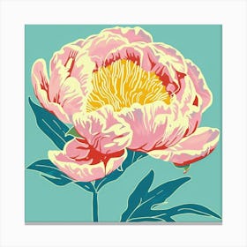 Peony 2 Square Flower Illustration Canvas Print