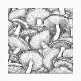 Mushroom Drawing Canvas Print