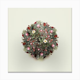 Vintage Spiny Leaved Rose of Dematra Flower Wreath on Ivory White n.1975 Canvas Print