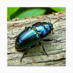 Beetle 10 Canvas Print