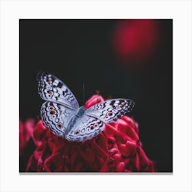 Butterfly On A Flower Canvas Print