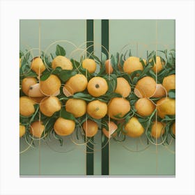 Oranges On A Wall Canvas Print