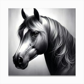 Creative Horse Beauty Illustration Nr 156 Canvas Print