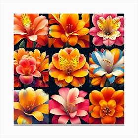 Image Of Different Clivia Flowers 3 Canvas Print