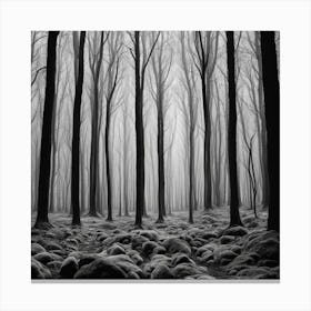 Forest 37 Canvas Print