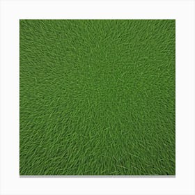 Grass Background 17 Canvas Print