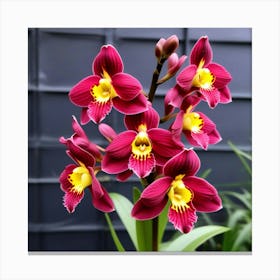 Tiger orchid flower 1 Canvas Print