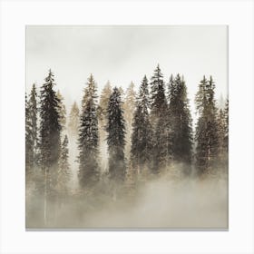 Foggy Pine Forest Square Canvas Print