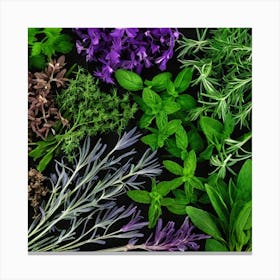 Herbs As A Background (24) Canvas Print