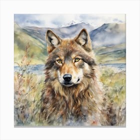 Wolf in Scottish Mountains Sits Amongst Heather Canvas Print