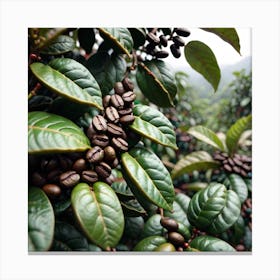Coffee Beans On A Tree 1 Canvas Print