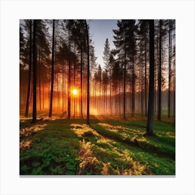 Sunrise In The Forest 12 Canvas Print