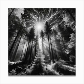 Forest Of Light Canvas Print