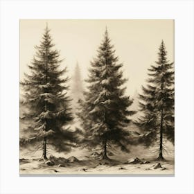 Three Pine Trees Canvas Print