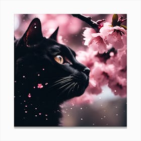 Black Cat amongst the Cherry Blossom Trees Canvas Print