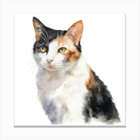 Japanese Bobtail Cat Portrait 1 Canvas Print