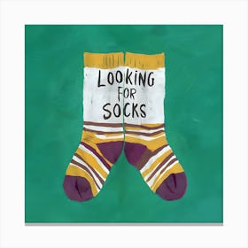 Looking For Socks Canvas Print