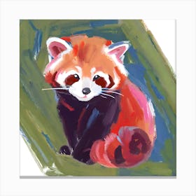 Red Panda 04 Canvas Print