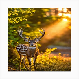 Deer In The Woods 3 Canvas Print