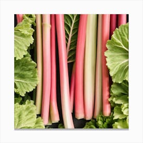 Rhubarb 82 Canvas Print