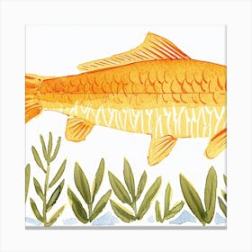 Carp Illustration Canvas Print