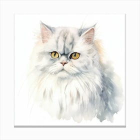 Chinchilla Persian Cat Portrait Canvas Print