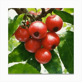 Red Berries On A Tree Canvas Print