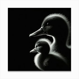 Ducklings Canvas Print