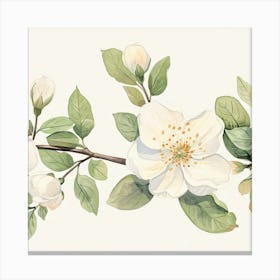 White Blossoms On A Branch Canvas Print