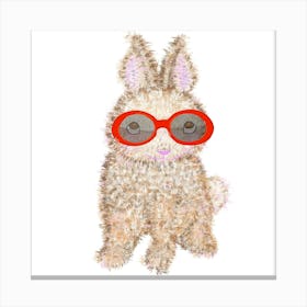 Bunny In Sunglasses Canvas Print