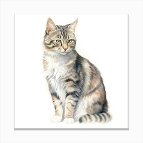 American Bobtail Cat Portrait 3 Canvas Print