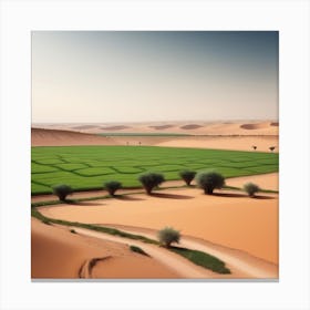 Sahara Desert 41 Canvas Print