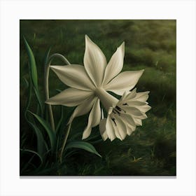 Daffodil Canvas Print