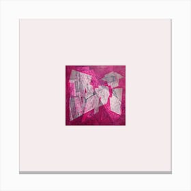 Etching Pink Hidden Places Canvas Print