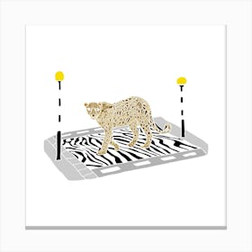 Cheetah Leopard On A Zebra Crossing, Fun Safari Animal Print, Square Canvas Print