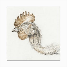 Head Of A Dead Chicken 1, Jean Bernard Canvas Print