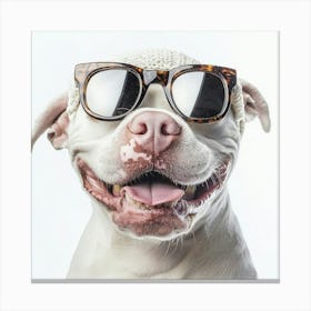 Dog In Sunglasses 3 Canvas Print