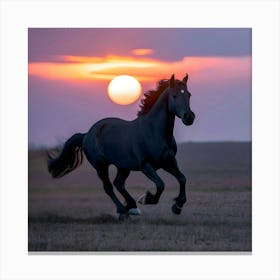 Black Horse At Sunset Canvas Print