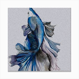 Blue Siamese Catfish Canvas Print Canvas Print