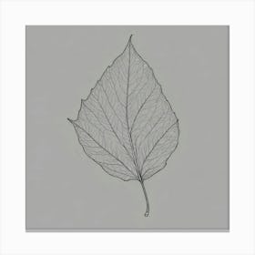 Leaf 2 Canvas Print