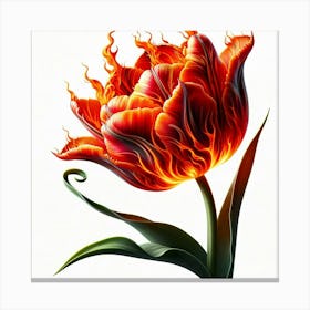Flame Tulip Canvas Print